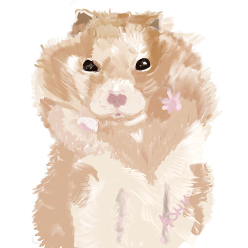 hamstar (realistic)